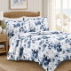 CARDUCCI QUILT SHORE 220X220CM