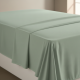 WINTER FLAT SHEET SAGE