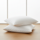 STANDARD PILLOWCASES WINTER WHITE