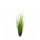 POTTED GRASS 68CM