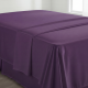 FLAT SHEET PLUM